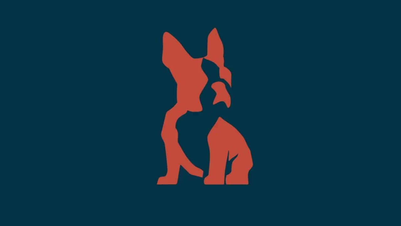 Salty Dog livestream — watch on StreamYard